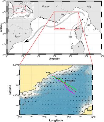 A New Glider-Compatible <mark class="highlighted">Optical Sensor</mark> for Dissolved Organic Matter Measurements: Test Case from the NW Mediterranean Sea